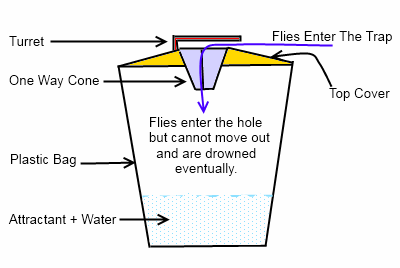 Disposable Fly Traps